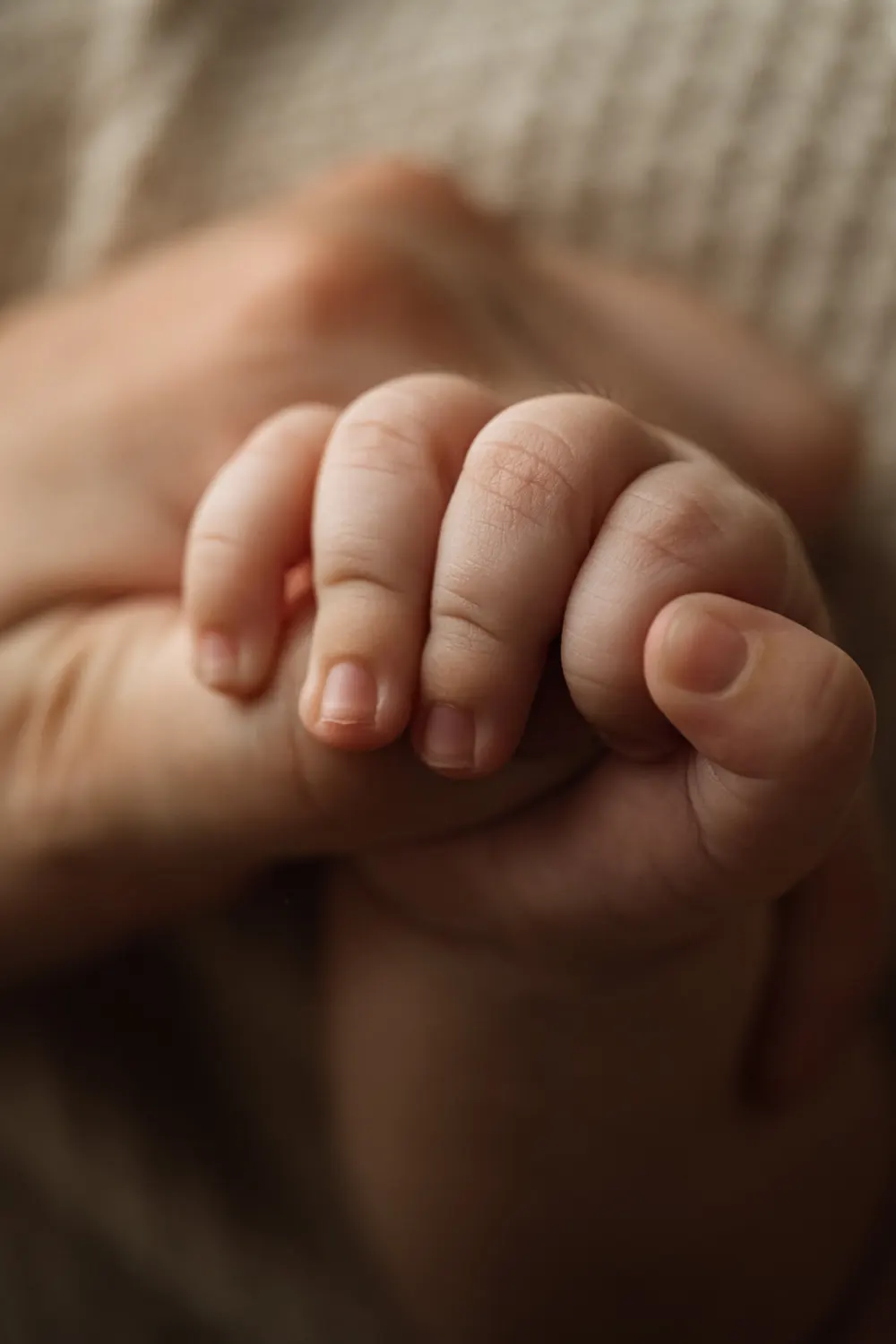 detailní záběr dětské ručičky držíci ruku rodiče při newborn focení
